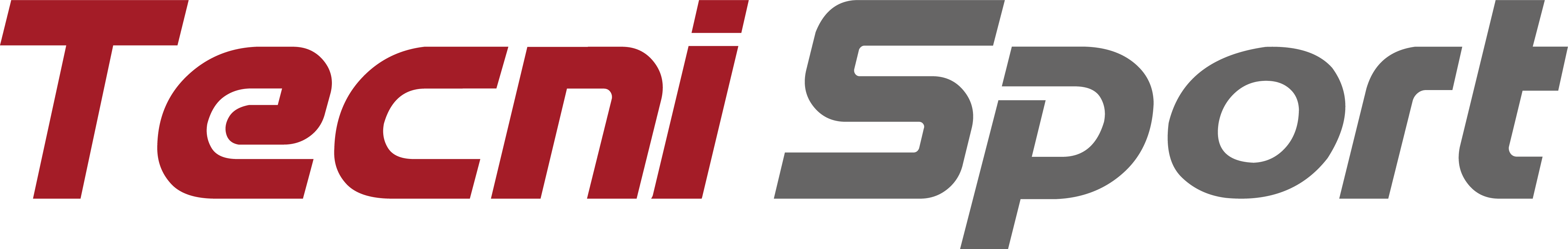 Logo-TecniSport